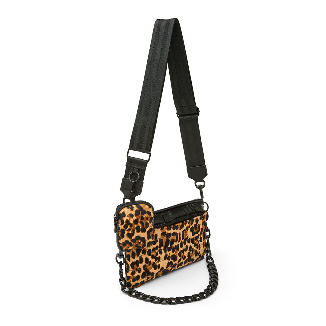 Wild Leopard Pony and Pearl Black