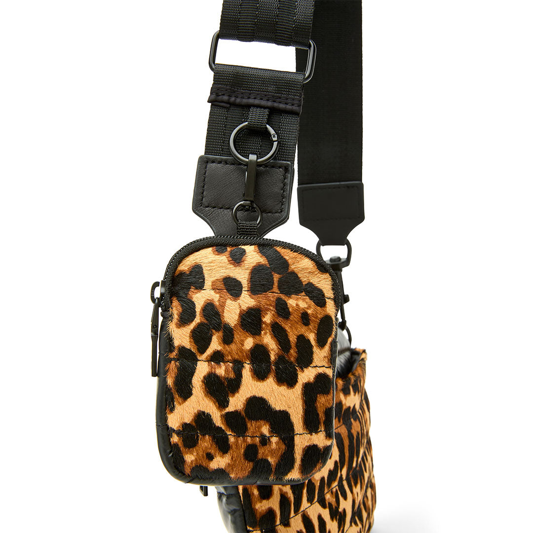 Wild Leopard Pony and Pearl Black